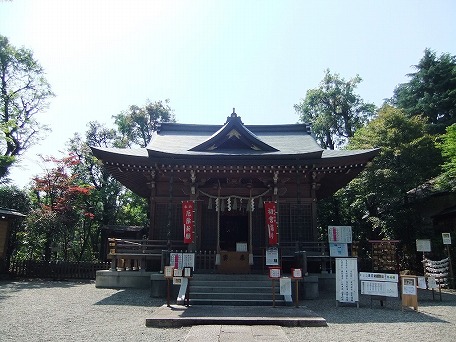 aoi4